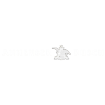 anheiser busch