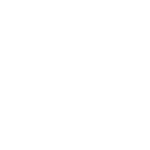 IIN