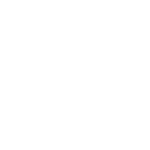 Single Platform
